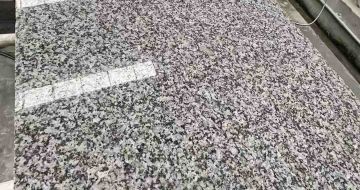 绵阳 芙蓉白光面