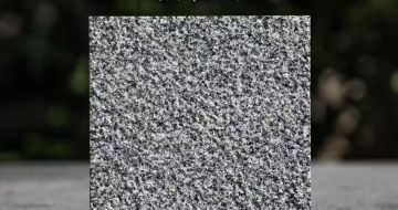 绵阳 芝麻黑荔枝面