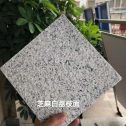 绵阳 芝麻白荔枝面干挂