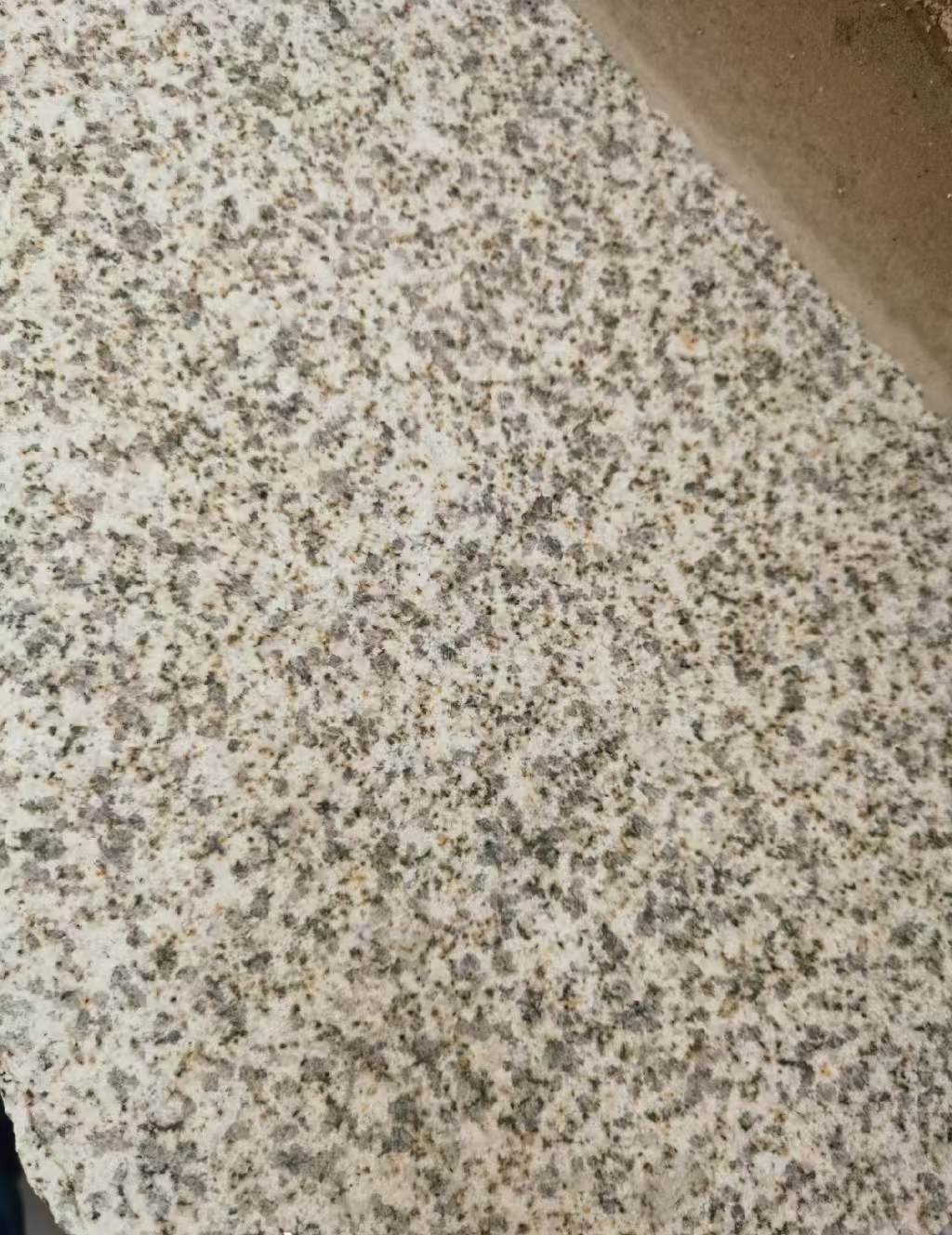 绵阳 黄金麻中黄光面