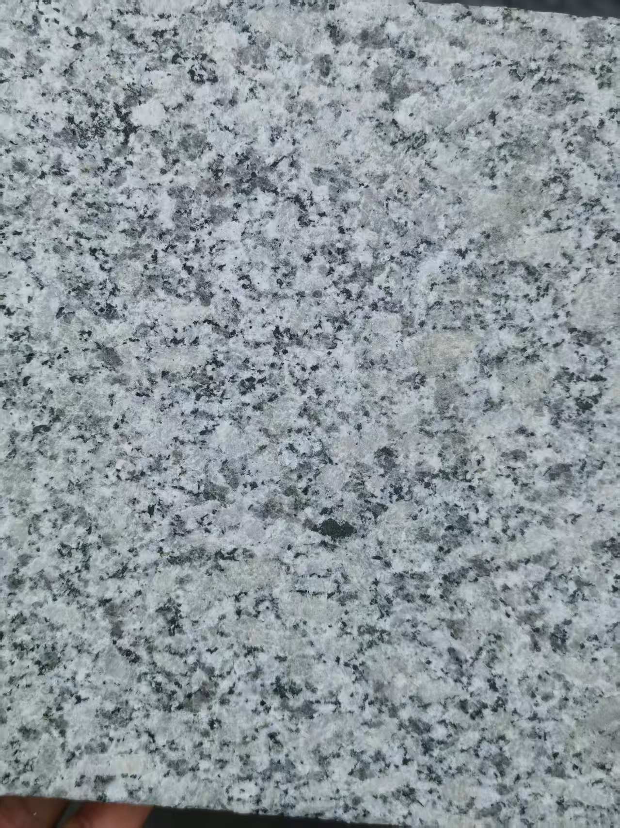 绵阳 芙蓉白火烧面