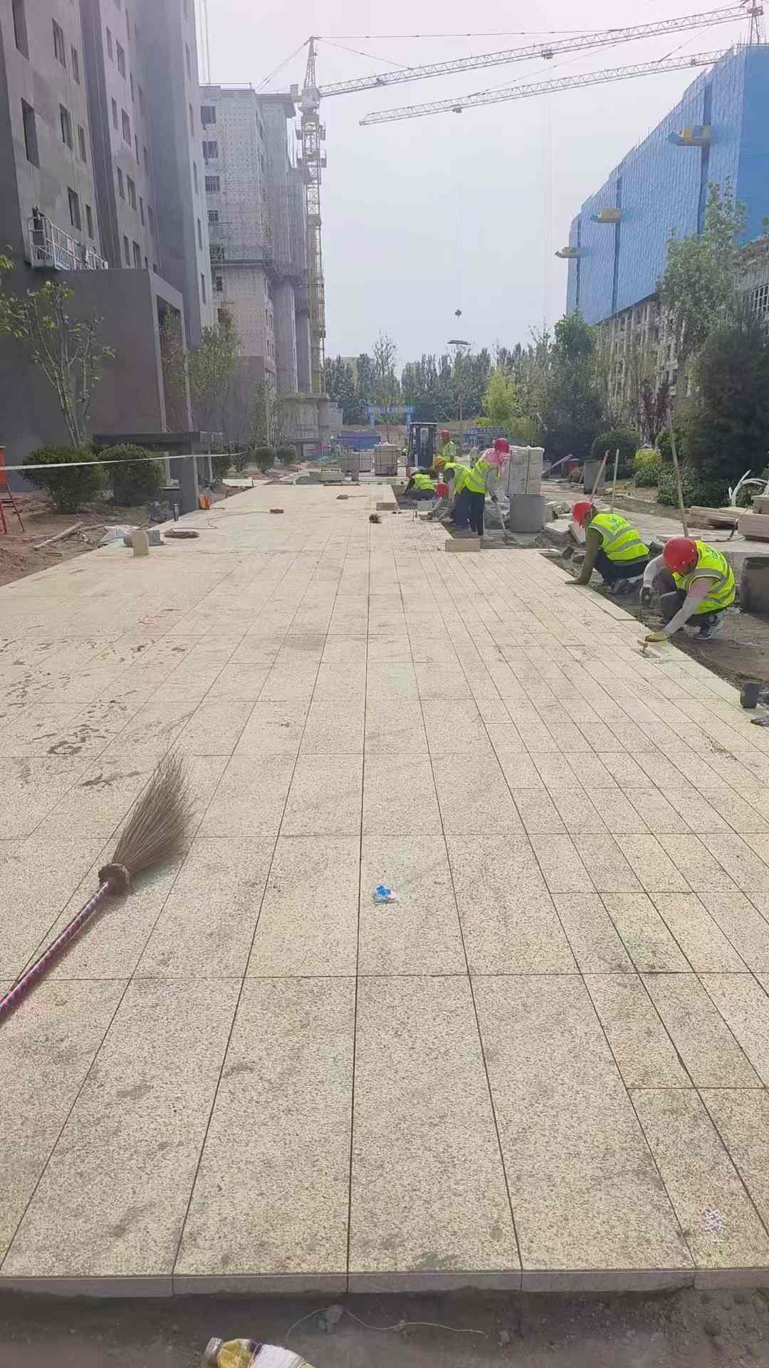 绵阳黄金麻荔枝面地铺案例